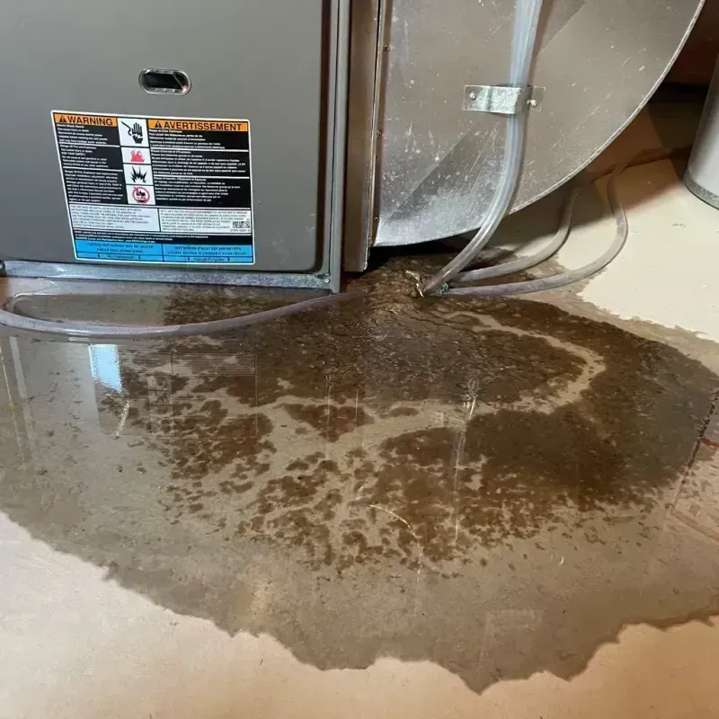 Appliance Leak Cleanup in Fossil, OR